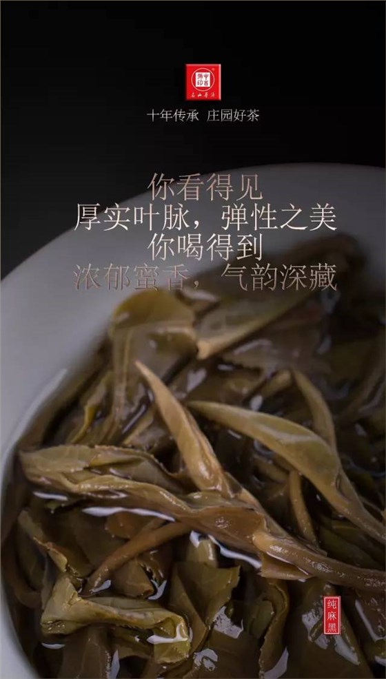 古樹(shù)茶純麻黑普洱茶