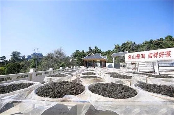 中吉號普洱茶