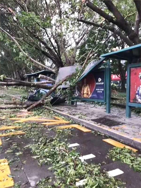 深圳臺(tái)風(fēng)