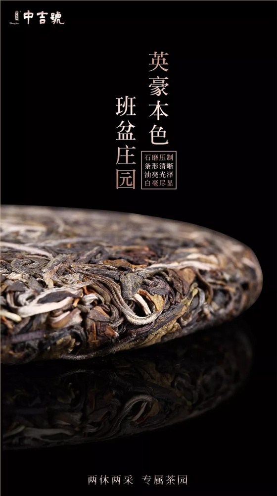 班盆普洱茶價(jià)格