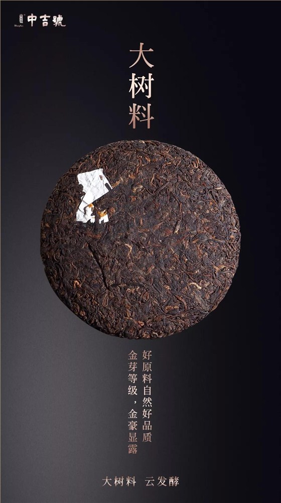 云南普洱茶