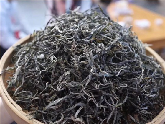 中吉號(hào)古樹茶