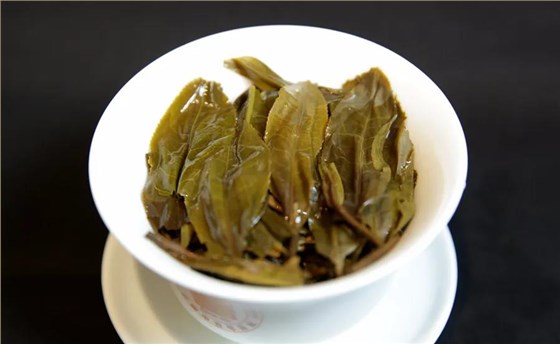 中吉號(hào)昔歸普洱茶