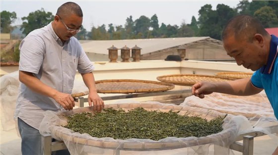 中吉號老班章普洱茶