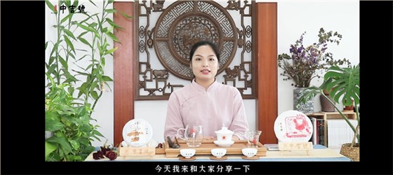 中吉號茶堂：如何分辨普洱熟茶和生茶？