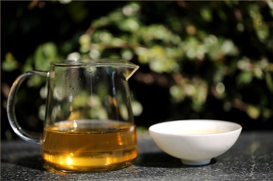 中吉號(hào)茶堂：什么季節(jié)采摘的云南普洱茶品質(zhì)最好？