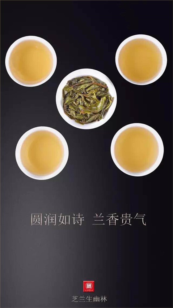 中吉號(hào)昔歸普洱茶