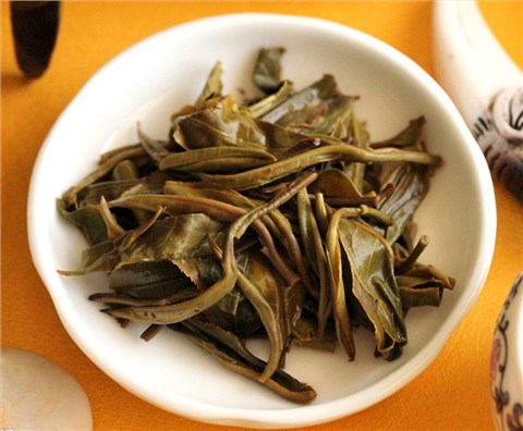 中吉號古樹茶 - 茶王之邦崴2012