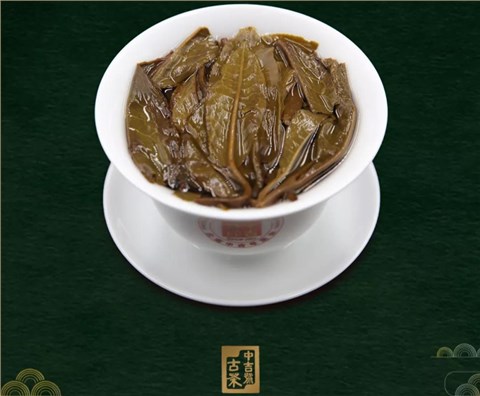 中吉號(hào)古樹茶 - 易武正山2019