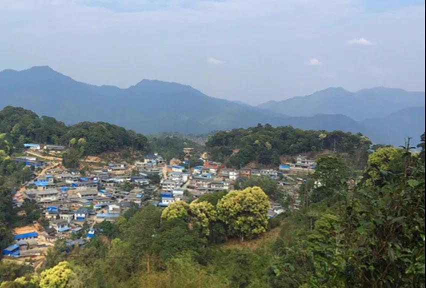 中吉號麻黑莊園