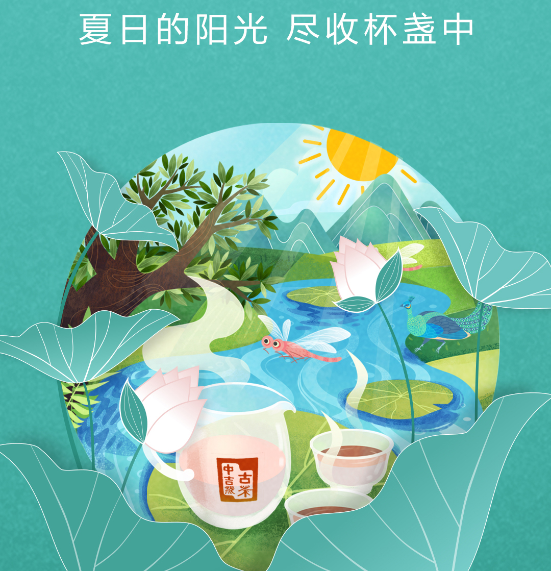 夏天喝什么茶好