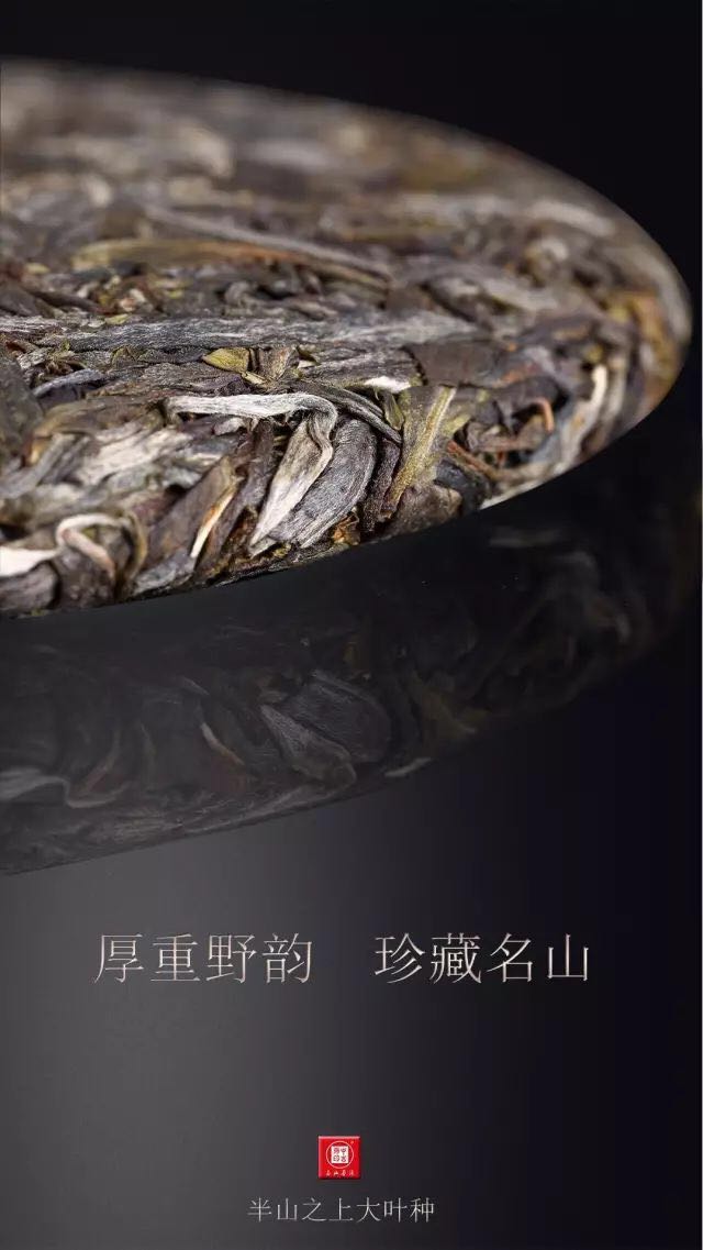 中吉號古樹茶